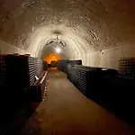 Au Coeur Des Vignes Vrigny (Marne)