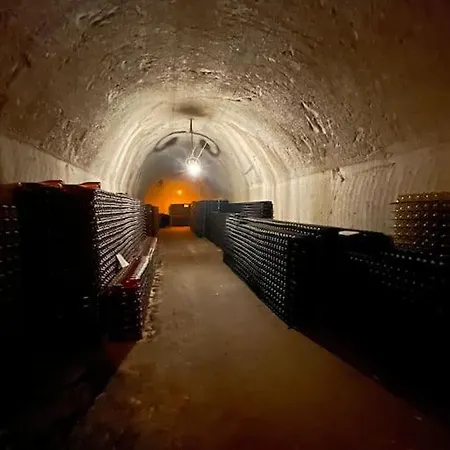 Escapade Au Coeur Des Vignes Vrigny (Marne)