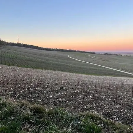 Lejlighed Au Coeur Des Vignes *