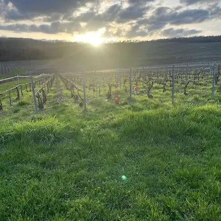 Au Coeur Des Vignes Lejlighed