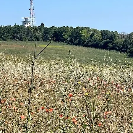 Au Coeur Des Vignes Lägenhet *