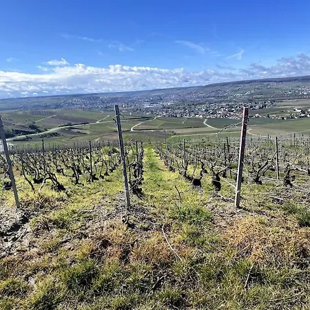 Lägenhet Au Coeur Des Vignes Vrigny (Marne)