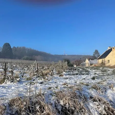 Au Coeur Des Vignes Lägenhet Vrigny (Marne)