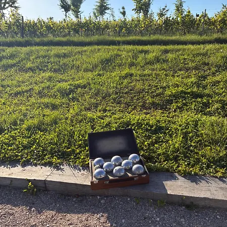 Au Coeur Des Vignes *