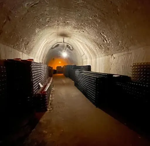 Au Coeur Des Vignes Vrigny (Marne)