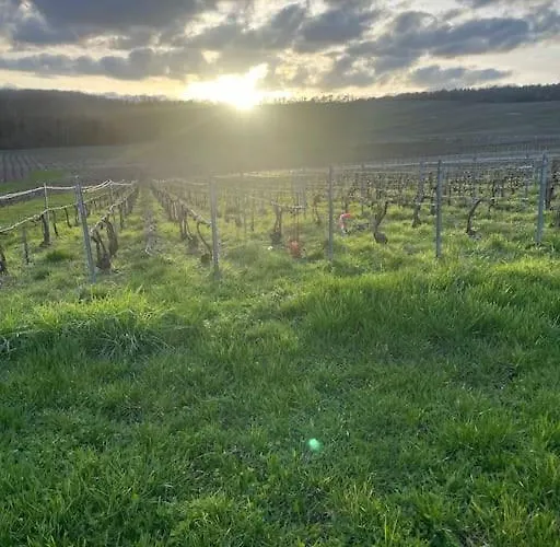 Au Coeur Des Vignes Lejlighed