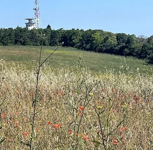 Au Coeur Des Vignes Lejlighed *