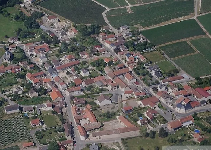 Au Coeur Des Vignes Lejlighed Vrigny (Marne)
