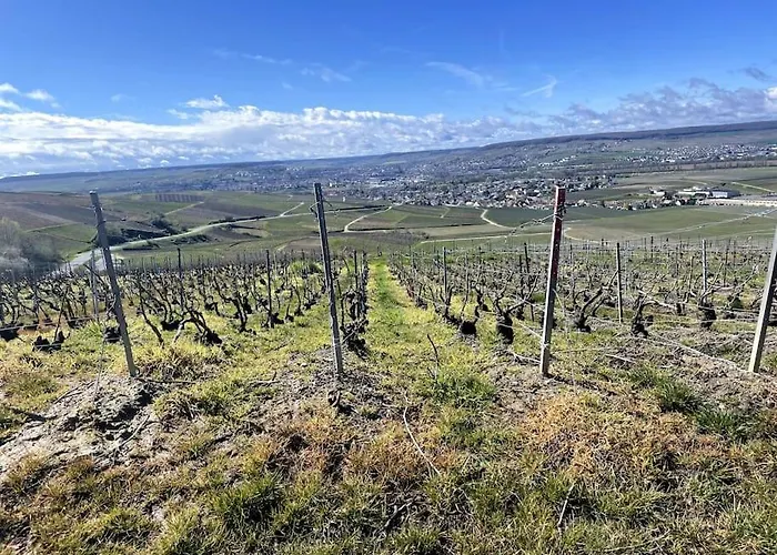 Lejlighed Au Coeur Des Vignes Vrigny (Marne)