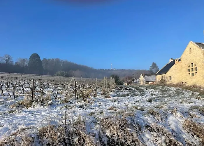 Au Coeur Des Vignes Lejlighed Vrigny (Marne)