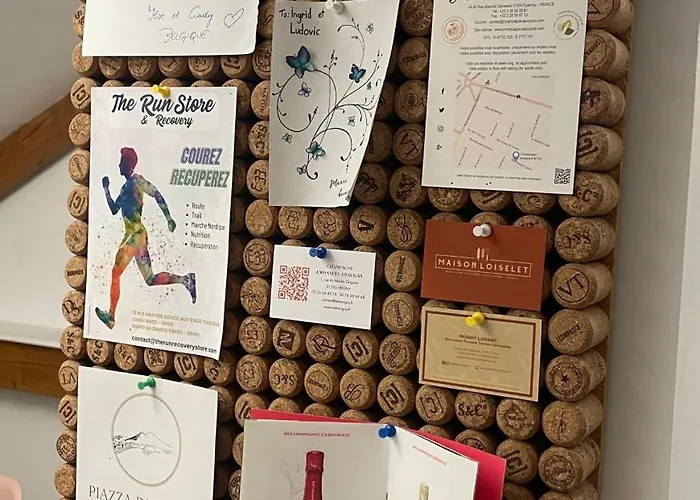 Lejlighed Au Coeur Des Vignes Vrigny (Marne)